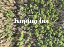 Ogłoszenie o możliwości zakupu lasów i gruntów